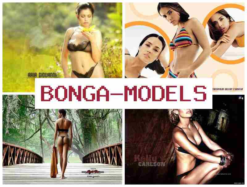 BONGA MOCELS ⚡ Recrutement en chat en direct pour profils débutants, prise en main rapide