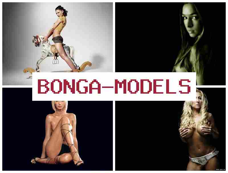 BONGAMOFELS 🔴 Poste en visiotransmission pour personnes dynamiques, formation assurée