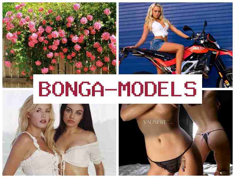 BONGAMODELD 💻 Collaboration à distance, horaires au choix