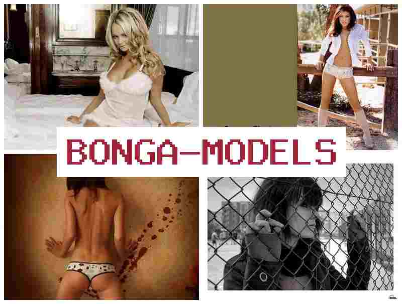 BONGA MLDELS 🌐 Fara aiki a bidiyo na gida tare da tallafi na fasaha 24/7