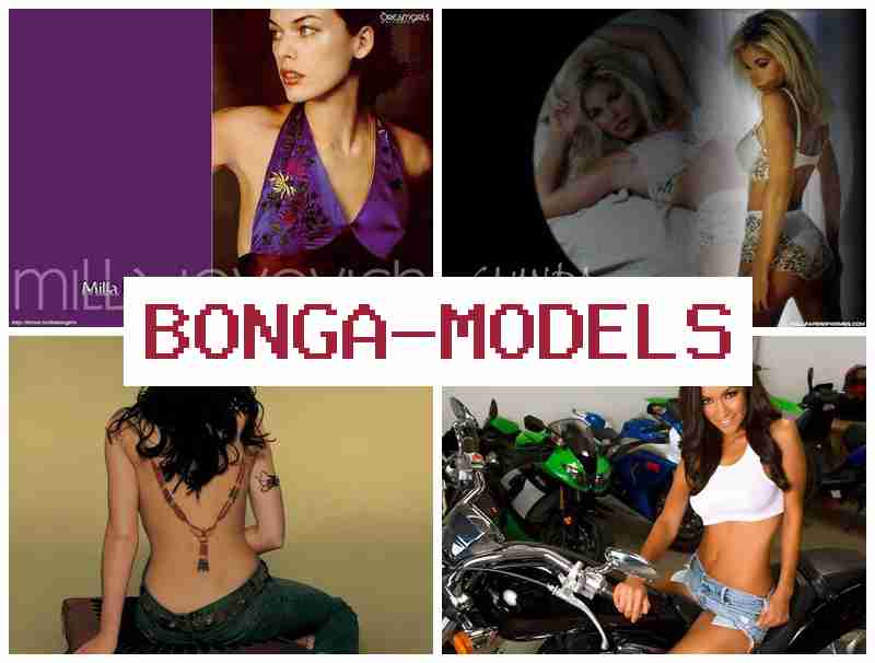 BONGAMODDLS ᐉ Kasance namijin yanar gizo ba tare da fita ba inda ba a buƙatar gogewa