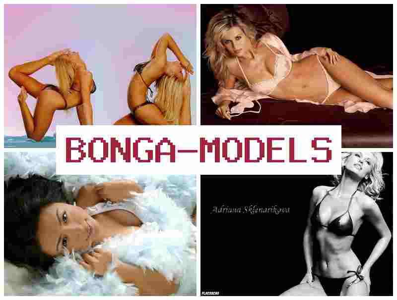 OBNGA MODELS 🆒 Webcam job com alto potencial de ganho, suporte técnico 24h