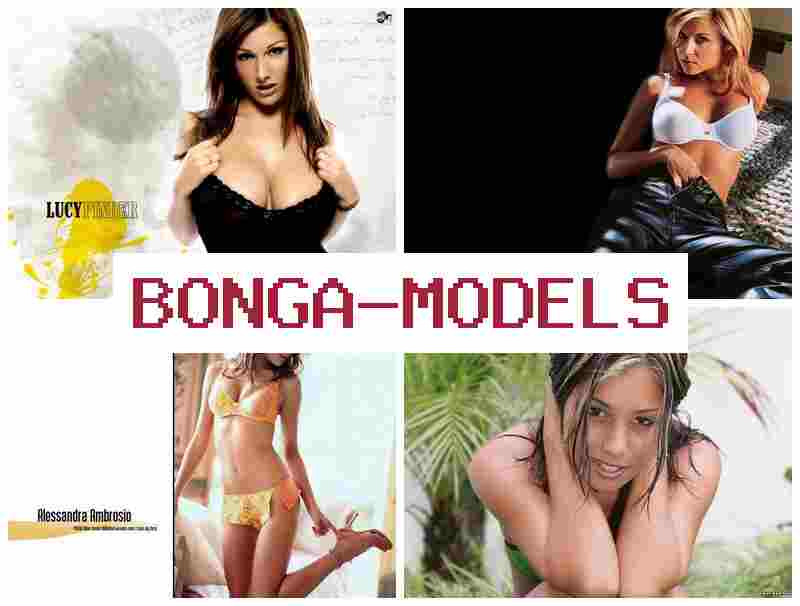 BONGA MODESL 📹 Ganhos à distância no ambiente digital no negócio de webcam como modelo de vídeo chat