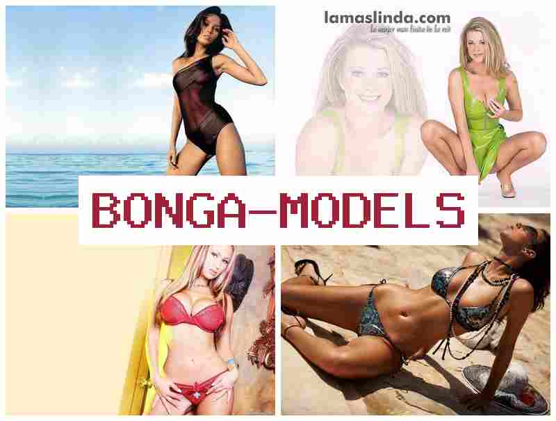 BONGA JODELS 💸 Atuação legal em vídeo chat remoto, suporte técnico 24h