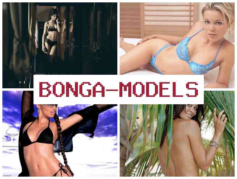 BONGAMOFELS 💴 Trabalho remoto seguro e flexível, sem necessidade de experiência