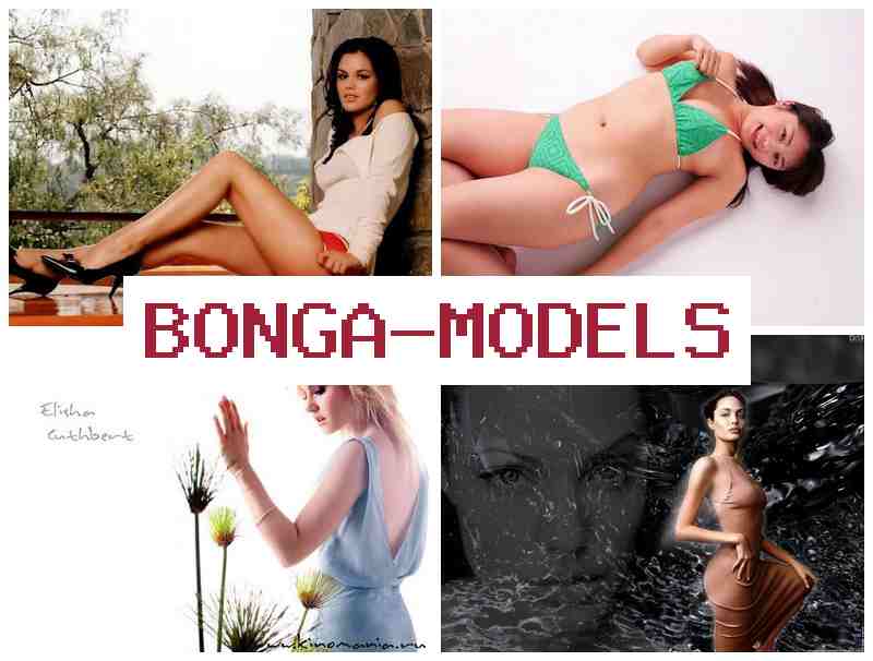 BONGAMOXELS 💯 Webmodelo remoto com liberdade e ganhos, assistência técnica constante