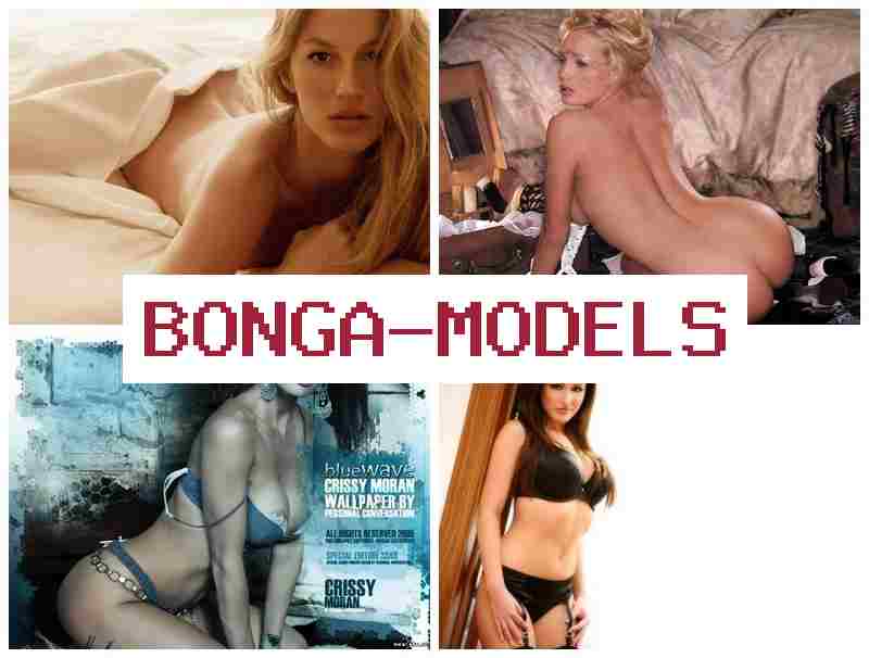 BONGAMODES 💻 Telefon orqali ishlash qulay internet modeli ish imkoniyatlari har qanday tajribaga ega bo‘lmaganlar uchun 24/7 texnik yordam bilan