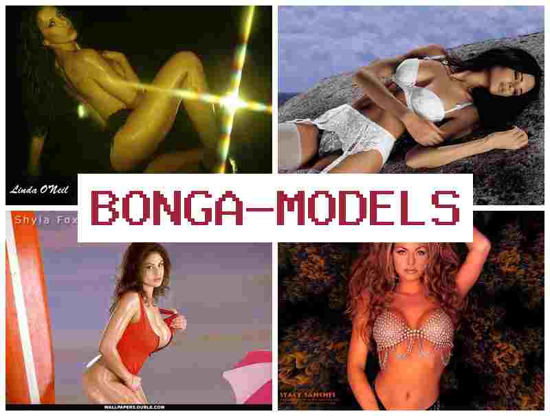 BONGA MODEPS 💷 Uy sharoitida erkin va xavfsiz ishlash internet modeli ishida tajriba talab qilinmaydi erkin grafik bilan ishlash