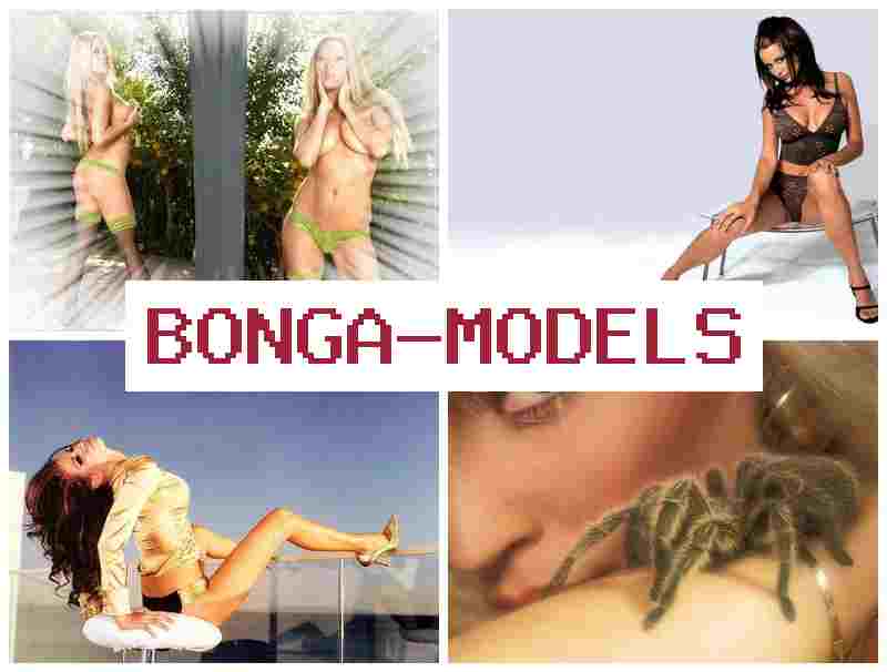 BONGOMODELS █ Telefon orqali daromad olish internet modeli sifatida ishlash tajriba talab qilinmaydi 24/7 texnik qo‘llab-quvvatlash bilan