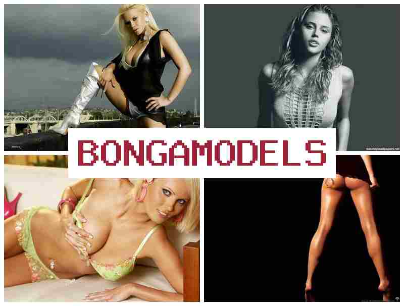 BONGA MODES 📺 وظيفة موديل ويب كام دون خبرة سابقة مع ربح ممتاز