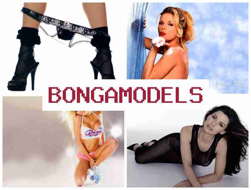 BONGA MODEELS 📺 العمل كموديل بث عبر الإنترنت من المنزل مع مكاسب جيدة ونظام عمل مرن