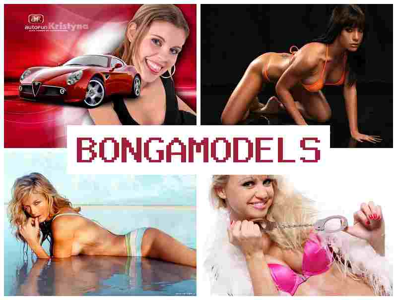 BONGA MODESL 🔷 العمل في البث التفاعلي أونلاين مع خدمة دعم متواصلة