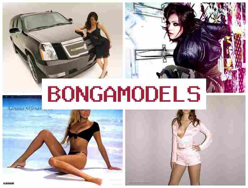 B0NGA MODELS 🆗 عمل موديل دردشة فيديو دون خبرة سابقة مع أرباح جيدة