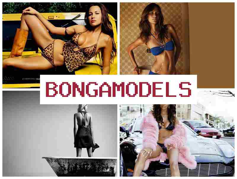 BKNGA MODELS ᐉ العمل كموديل بث مرئي عبر الهاتف الذكي من البيت مع دخل مرتفع