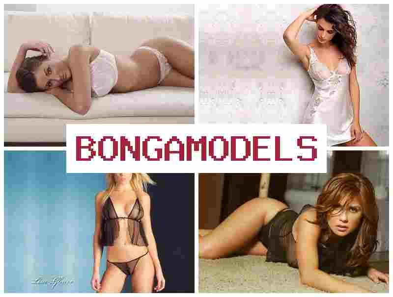 BONGA MORELS 💑 عمل كعارضة ويب كام من المنزل – أرباح جيدة مع أجر أسبوعي