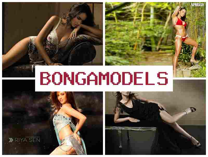 BONGA MODWLS 👧 فرصة بث فيديو تفاعلي مع مواعيد مرنة