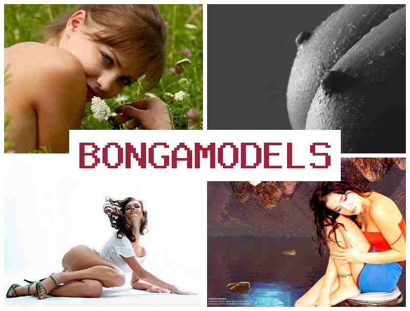 BONGA MODE.S 🔴 العمل في محادثات الفيديو للمبتدئين