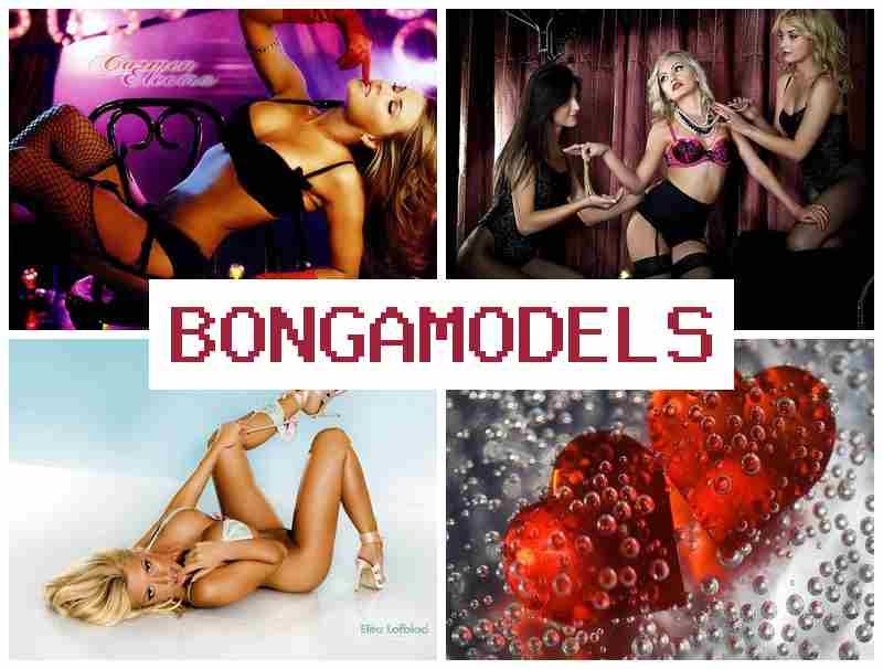 BONGA MODELA 🔻 العمل في بث الدردشة مع عائد مجزٍ وفريق دعم دائم