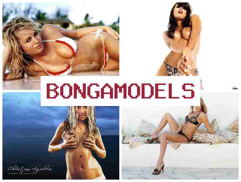 ONGAMODELS ▓ وظيفة عارضة بث أونلاين من البيت مع ربح مميز
