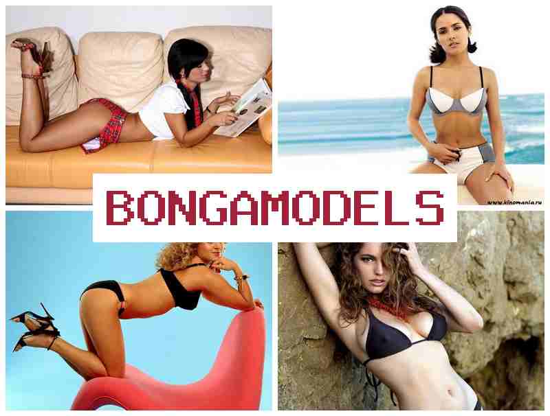 BONGAMPDELS 🌐 وظيفة موديل بث إنترنت مع مكاسب جيدة ومساندة فنية دائمة