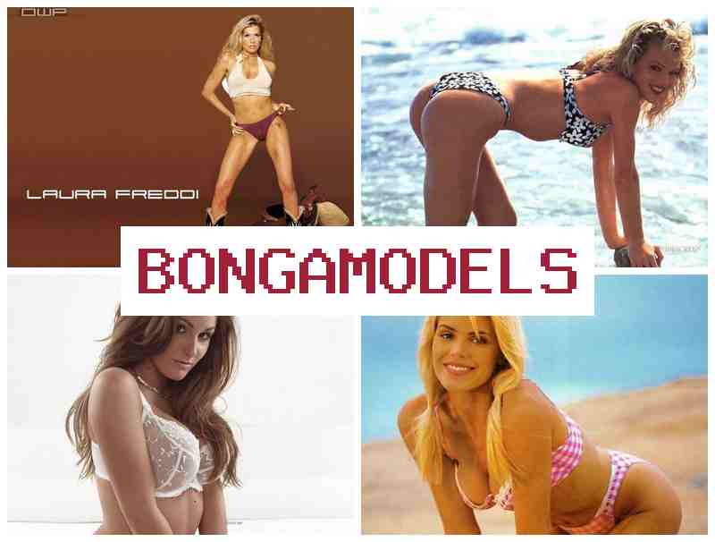 BNGAMODELS 🔵 العمل في البث المباشر عبر الإنترنت مع دعم فني متواصل