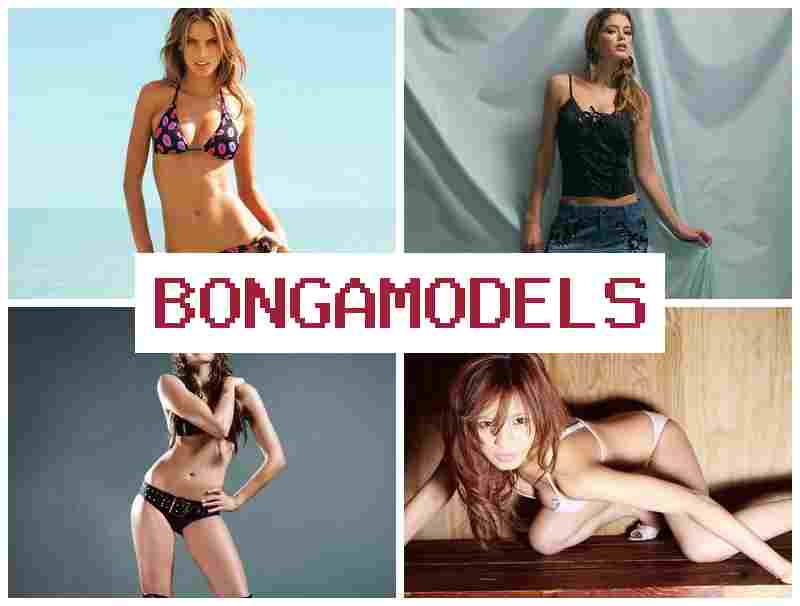 BONGAMLDELS 🆓 عمل كعارضة ويب كام من المنزل – أرباح جيدة مع أجر أسبوعي