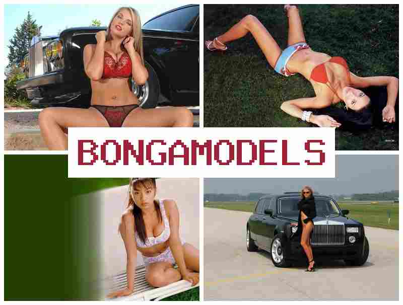 BOGAMODELS 🔻 العمل في تقديم فيديو مباشر مع مساندة تقنية دائمة