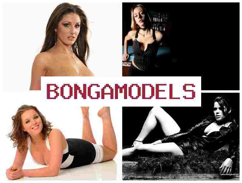 BONGAMODDLS 💯 العمل في الدردشة التفاعلية بالفيديو عبر الهاتف عبر الشبكة