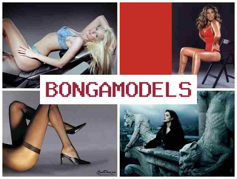 BONGAMODELZ 💶 فرصة عمل موديل بث مباشر من المنزل مع دخل مجزٍ ومواعيد عمل مرنة