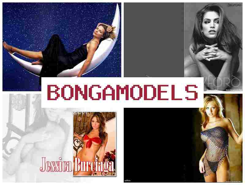 BONGA MLDELS ⚡ দক্ষতা অবিহনে নিরাপদ ডিজিটেল কৰ্ম