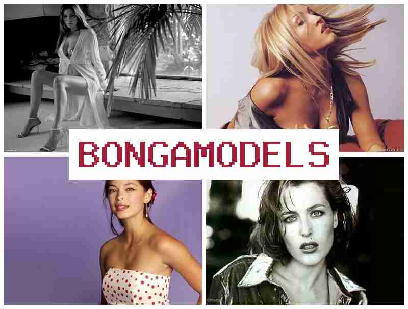 BONGAMOXELS 💰 স্থিৰ আয়ৰ ৱেবকেম প্ৰদৰ্শন কাম