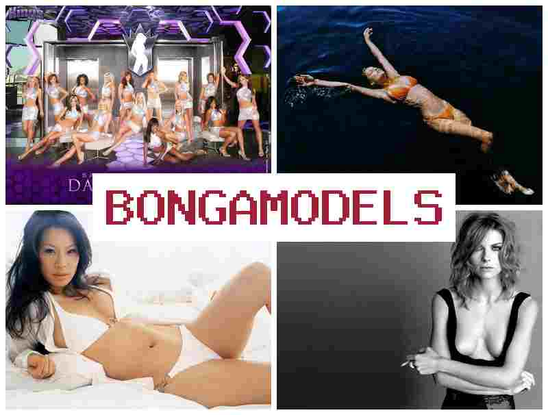 BPNGA MODELS 🆗 Online příležitost jako webový model – bez předchozích zkušeností