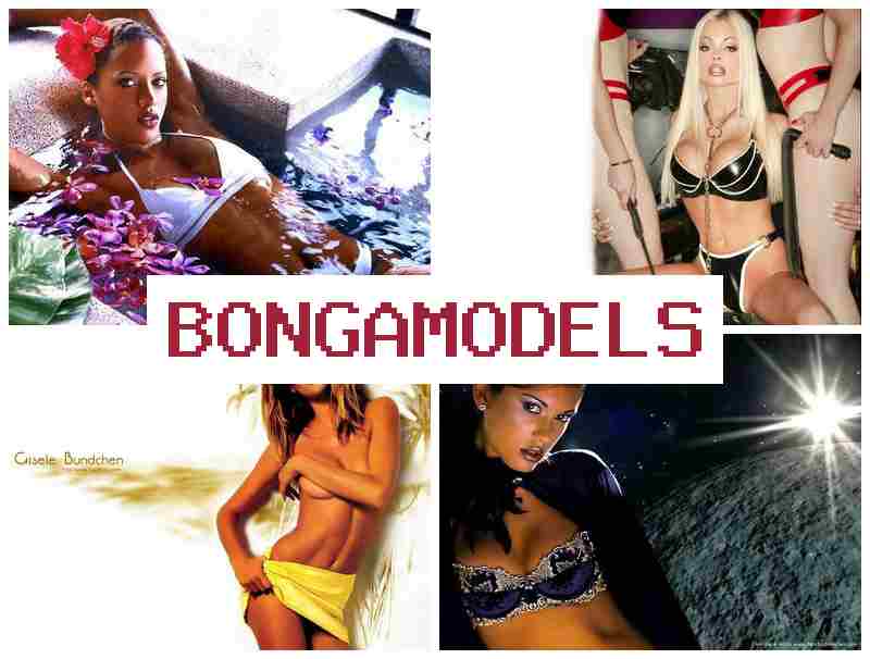 BONGA MOD4LS ✔️ Výdělek  online v domácích podmínkách