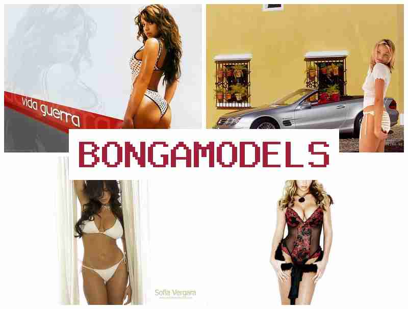 BONGAMOEDLS ▓ Internetová práce z bytu s nepřetržitou podporou