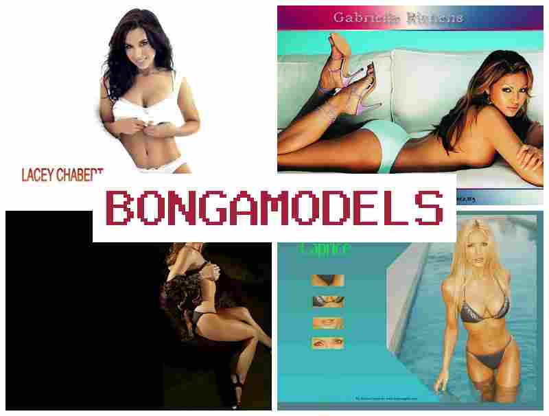 BONGAJODELS 🔵 Seriózní výdělek v online videohovorech z domova – s nepřetržitou podporou