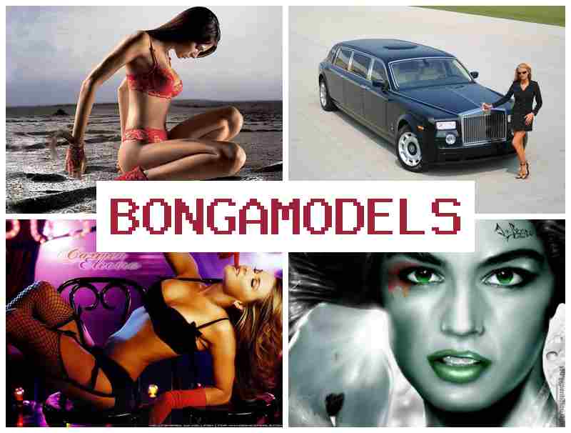 BONGAMOEELS ⚡ Nová příležitost v online videohovorech z domova – s nepřetržitou podporou