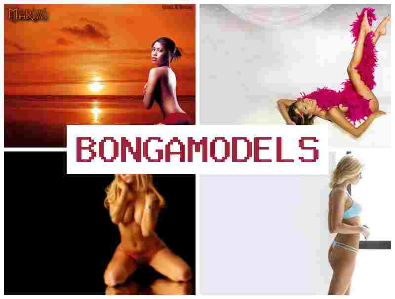 BONGA MDELS 🔵 Legale Online-Tätigkeit von zu Hause mit Internetmodell im Videochat, geeignet für Frauen und Männer