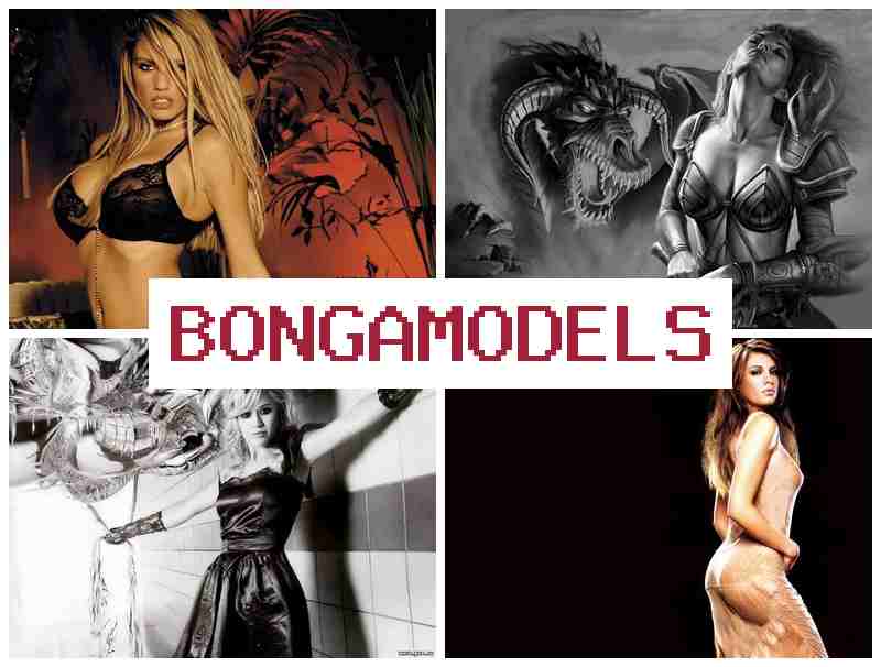 BPNGA MODELS 💶 Starte jetzt deine Tätigkeit als Webmodell im Videochat, legal und flexibel