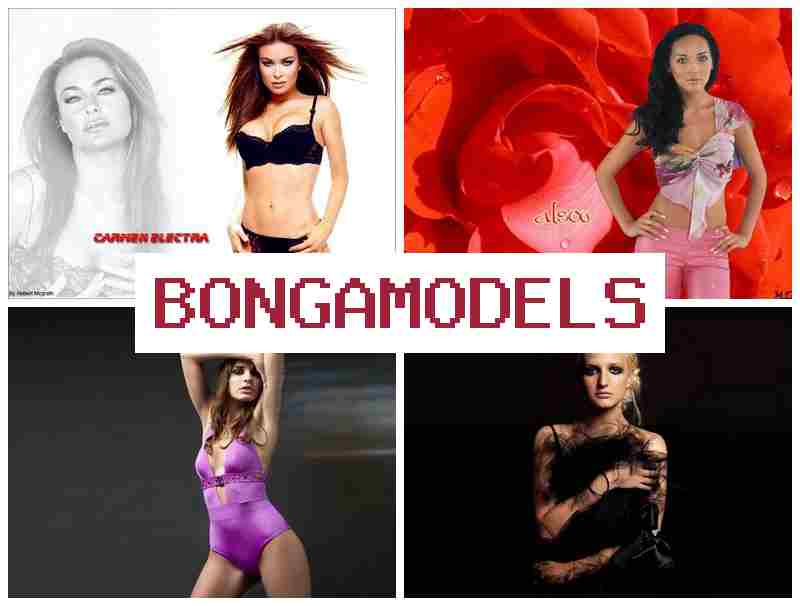 BOHGA MODELS 📹 Flexible Stunden, rund um die Uhr Support und Webcam-Modell, ideal für Frauen und Männer im Internet
