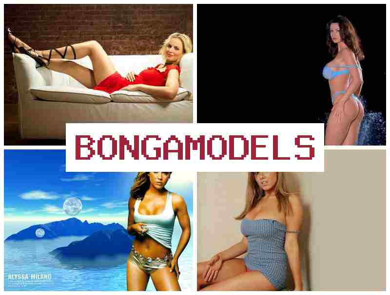 BONGA NODELS 💸 Entdecke die Vorteile der Online-Arbeit als Internetmodell, ohne Vorkenntnisse, direkt von zuhause