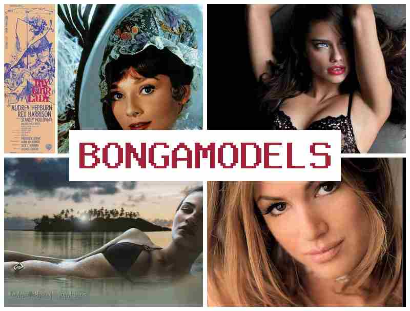 NONGAMODELS ⚡ Einfacher Start ohne Erfahrung für Webcam-Model, geeignet für Männer und Frauen im Internet