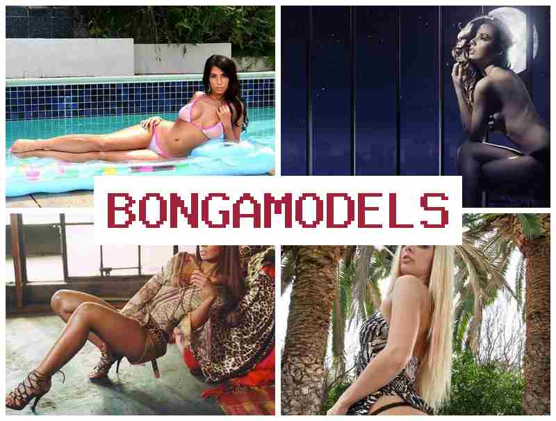 BONGAMOCELS 💻 Starte deine Karriere jetzt als Webcam-Model, ohne Erfahrung, mit wöchentlicher Auszahlung