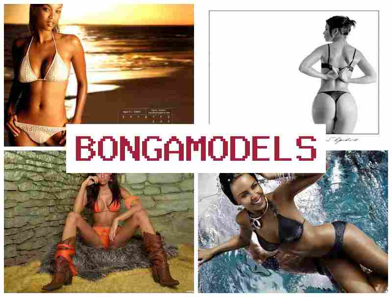 BONGAMODELW 🔵 Einfacher Start ohne Erfahrung für Webcam-Model, geeignet für Männer und Frauen im Internet