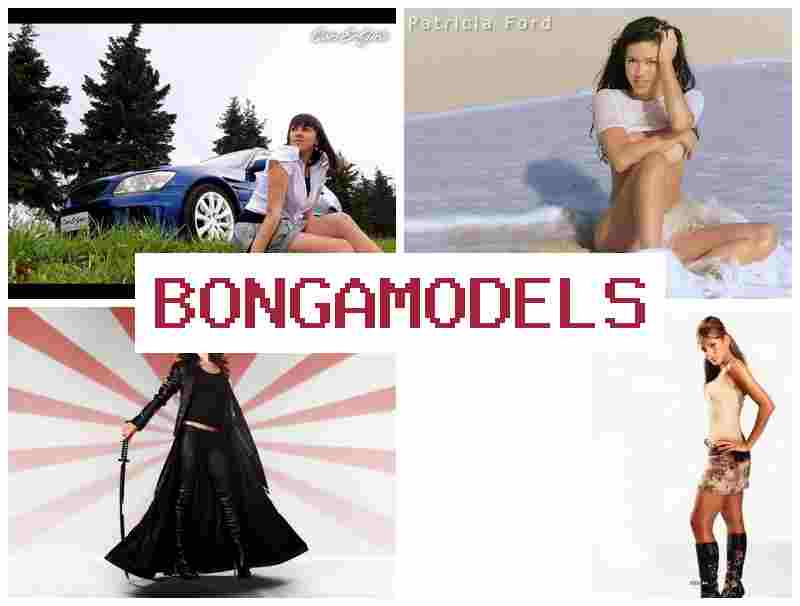 ONGA MODELS 💵 Einfacher Start ohne Erfahrung für Webcam-Model, geeignet für Männer und Frauen im Internet