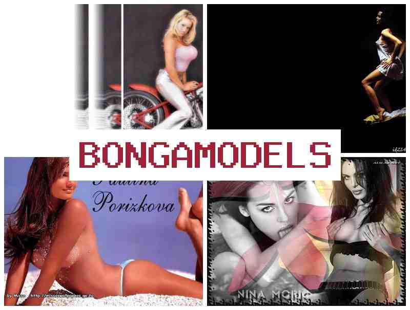 BONGAODELS 💷 No Experience Required for Online Modeling from Safe Home Environment