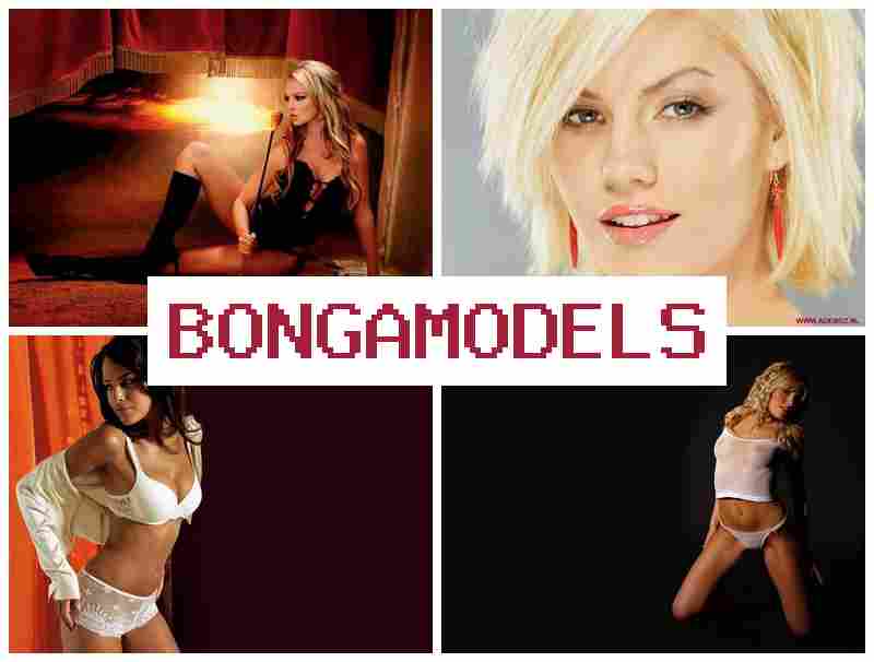 HONGA MODELS 🔷 Begin Remote Modeling Work with Adjustable Online Schedule