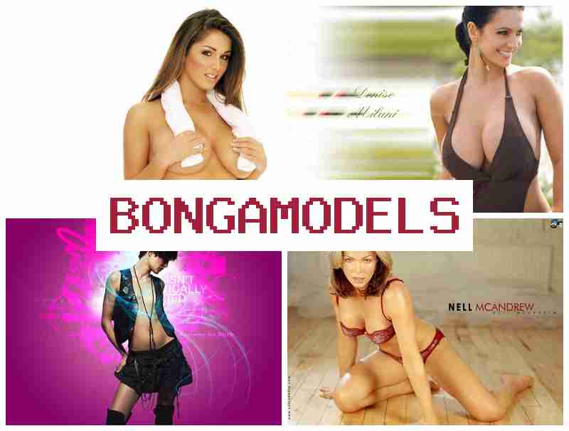 BONGA NODELS 💴 Entry-Level Live Chat Job from Home Comfort