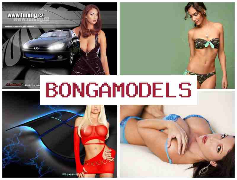 BONGA MOXELS 👍 Make Money in Live Chat, Weekly Payments