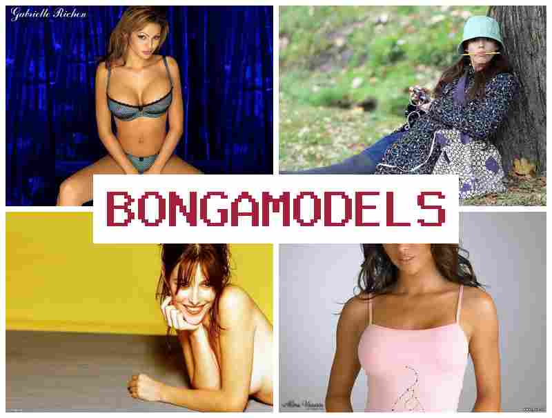 HONGAMODELS ᐉ Online Modeling via Smart Device with Ongoing Technical Assistance