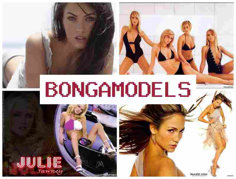 BINGAMODELS ᐉ Open Access Remote Modeling Work from Anywhere Remotely